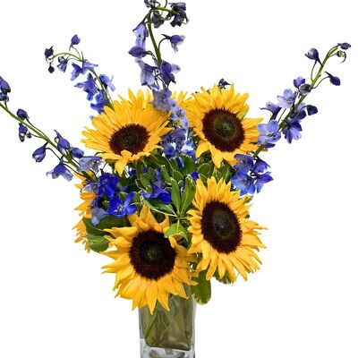 Sweet Sunflowers from your local Clinton,TN florist, Knight's Flowers